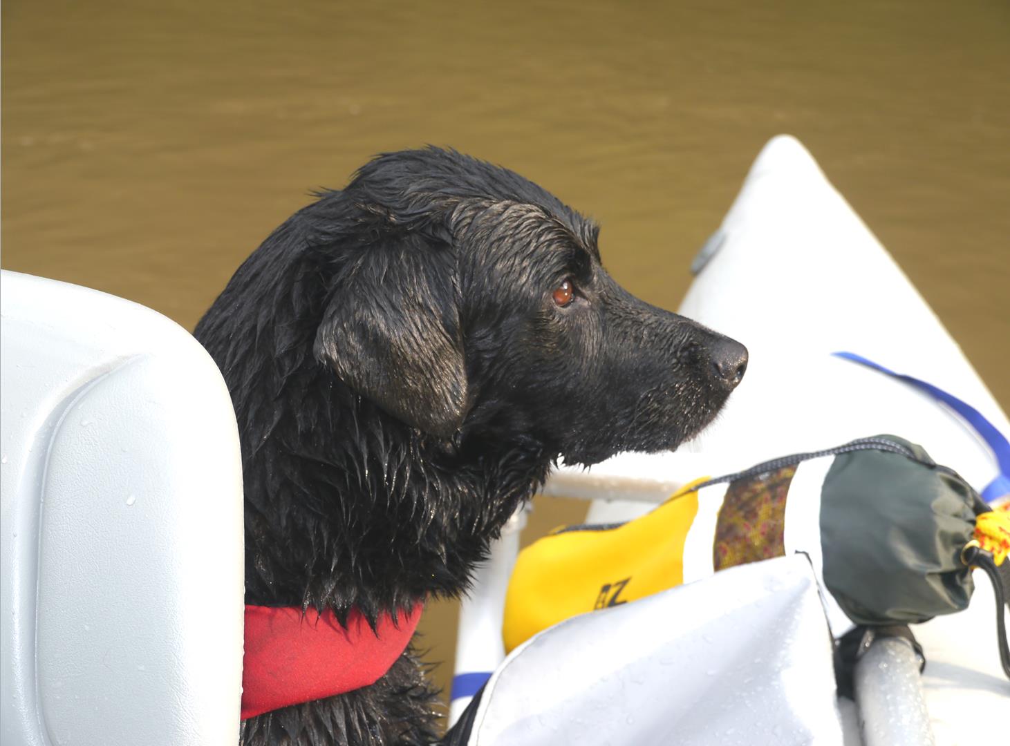 Leading the way on the Lower Gauley.
